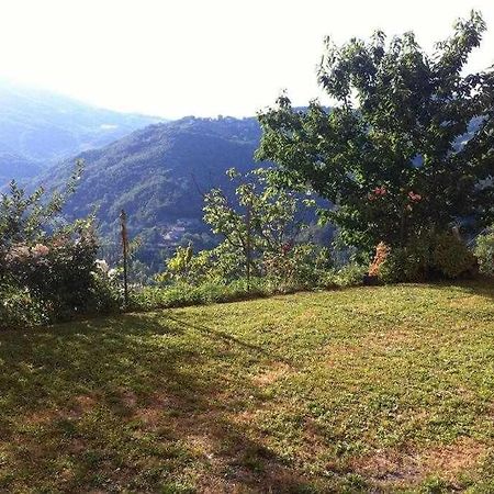 Valtopina Ospitaci Appartamenti Di Campagna Le Rancole المظهر الخارجي الصورة